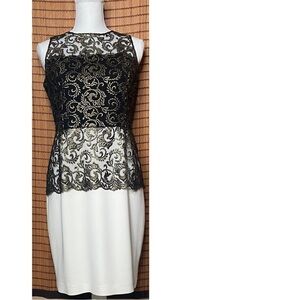 Sachin & Babi Noir Lacie Embroidered Two-Tone Peplum Dress Size 10 Lace Dress